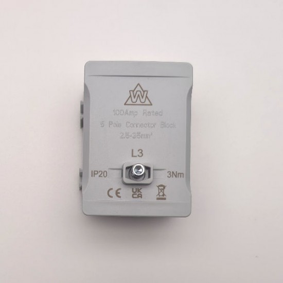 WEC 100A 230V 2 POLE MAIN SWITCH UNIT C/W ENCLOSURE WEC 100A 230V 2 POLE MAIN SWITCH UNIT C/W ENCLOSURE