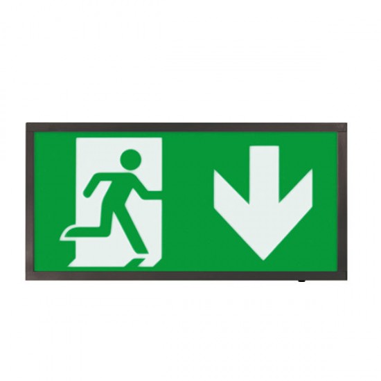 Duceri Emergency Exit Box Down Legend 3W LED IP20 Maintained White