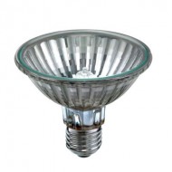 100W PAR 30 HALOGEN FLOOD 100W PAR 30 HALOGEN FLOOD