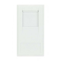 CCS White RJ45 CAT-6 Module